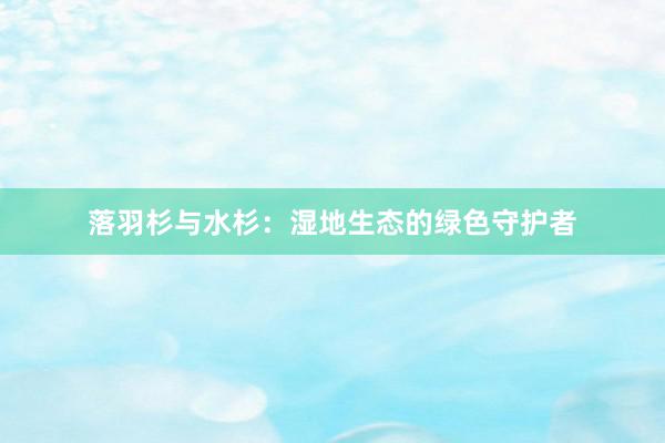 落羽杉与水杉：湿地生态的绿色守护者